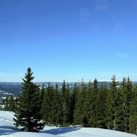 Design With Sauna And Jacuzzi At Hafjell